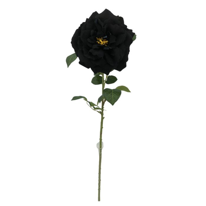 Single Velvet Open Rose - Black (75cm long)