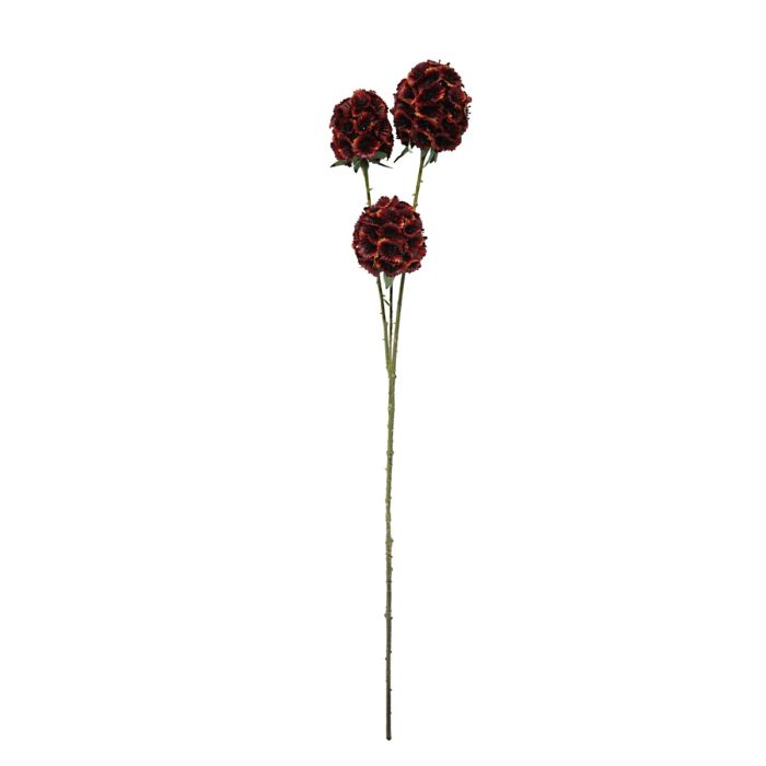 Artificial Scabiosa Stellata - Red (3 heads, 71cm long)