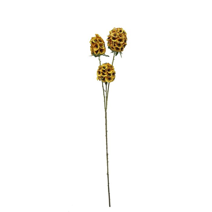 Artificial Scabiosa Stellata - Yellow (3 heads, 71cm long)