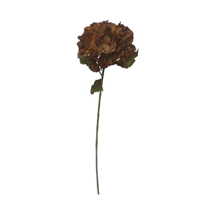 Dry Look Hydrangea - Burnt Orange (25cm diameter, 80cm long)
