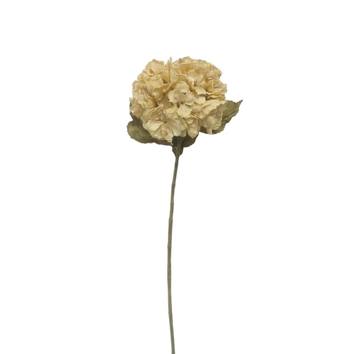 Dry Look Hydrangea - Cream/Beige (25cm diameter, 80cm long)