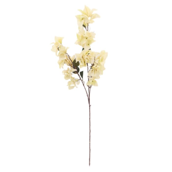 Dry Look Bougainvillea Spray - Cream (108cm long)