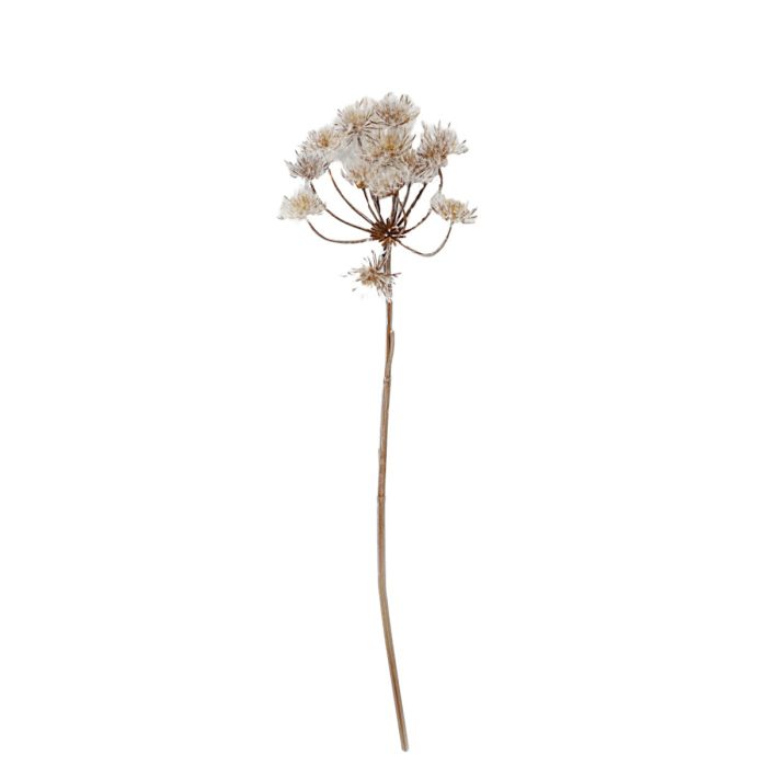 Frosty Cow Parsley - White/Brown (98cm long)