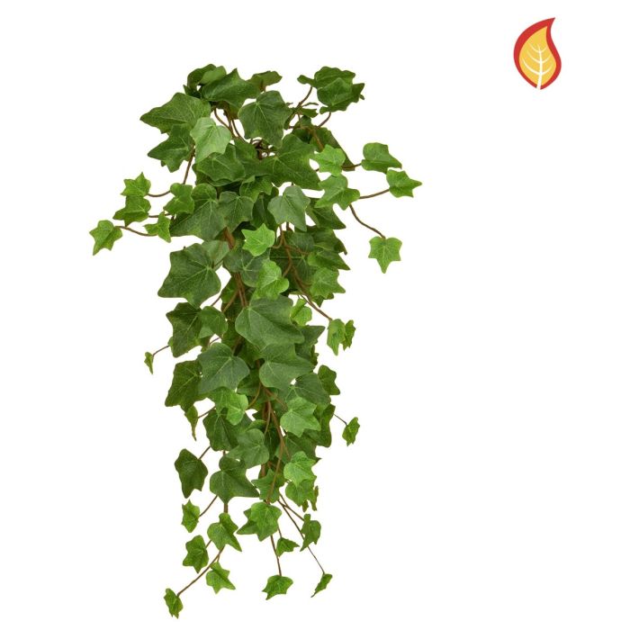 55cm Trailing Ivy Green FR