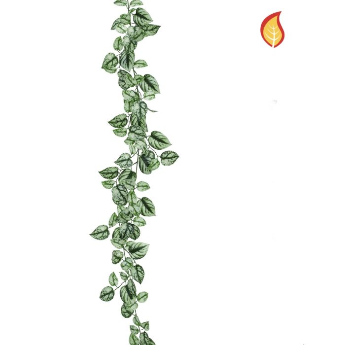 Scindapsus Garland 175cm FR