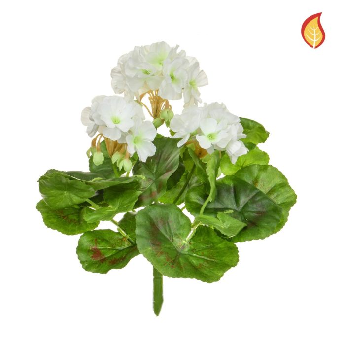 Plants Flowering Geranium White 23cm FR