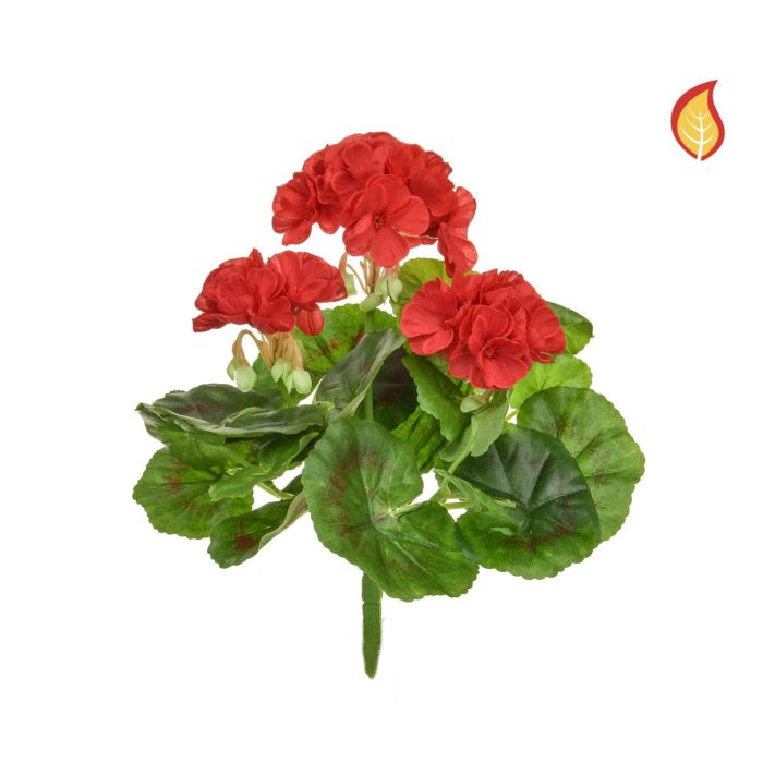 Plants Flowering Geranium Red 23cm FR