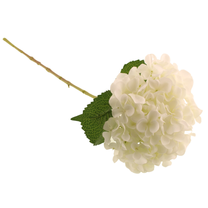 65cm Mophead Hydrangea White
