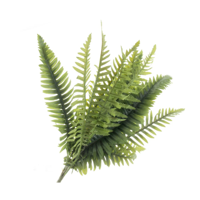 Fern Bush Green 60cm
