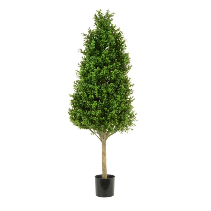 Boxwood Tower Tree 90cm