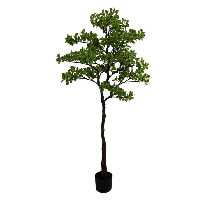 Artificial Real Touch Pittosporum Tree 150cm