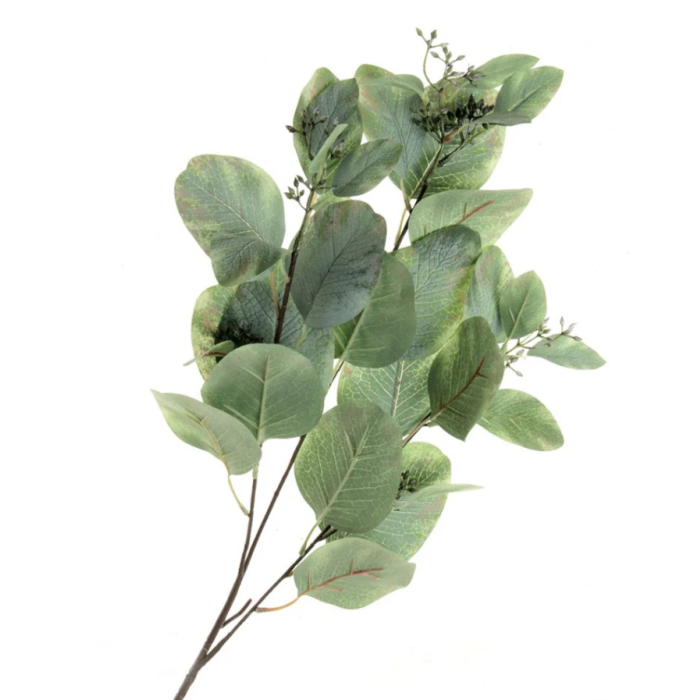 80cm Populus Eucalyptus Green 84cm