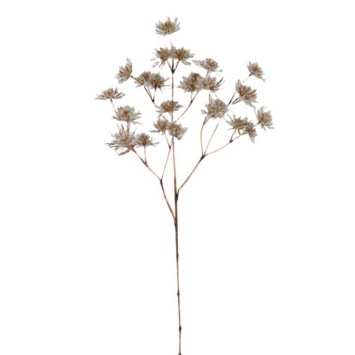 Frosted Withered Alliums White/Brown 96cm