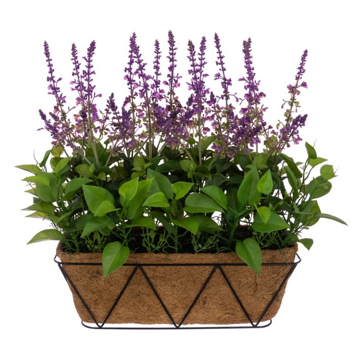 UV Lavender Window Box 52cm U-V Protected