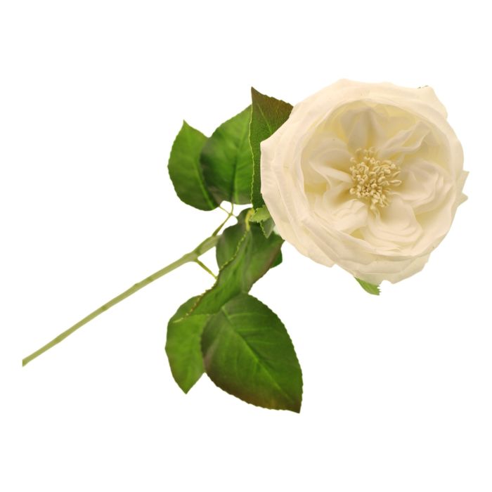 60cm Provence Rose Single White