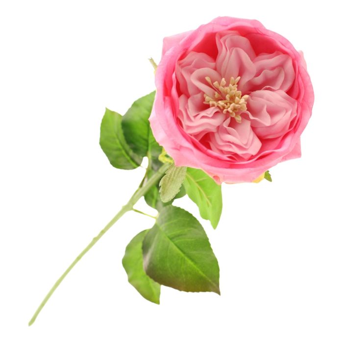 60cm Provence Rose Single Pink