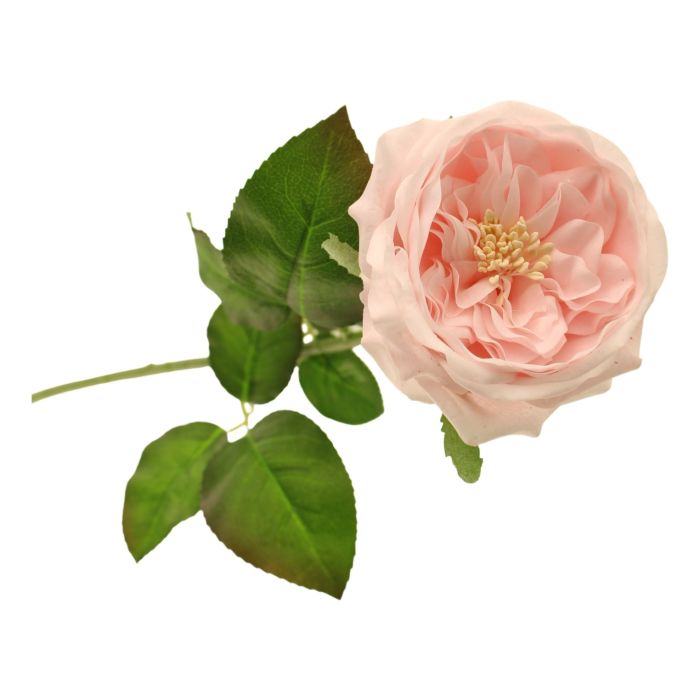 60cm Provence Rose Single Light Pink