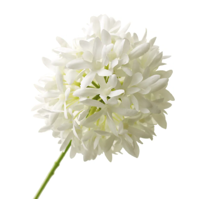 79cm Agapanthus White - Recycled