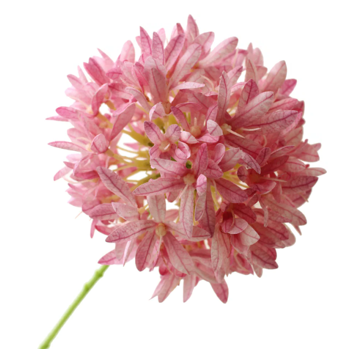 79cm Agapanthus Pink - Recycled