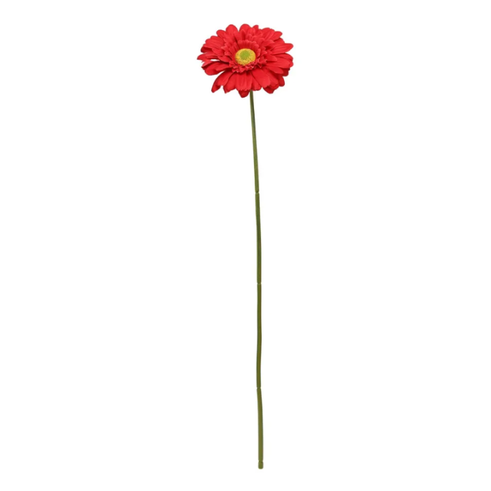 Single Gerbera 72cm Red