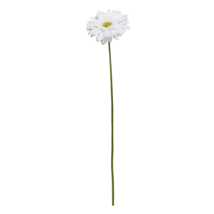Single Gerbera 72cm White