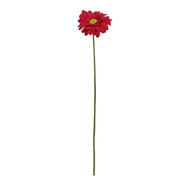 Single Gerbera 72cm Burgundy