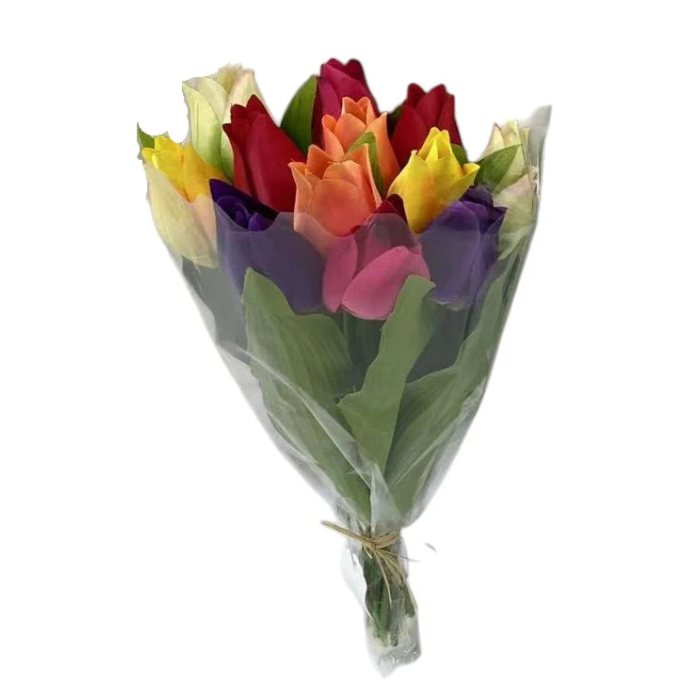 Mixed Colour Tulip Bunch 38cm