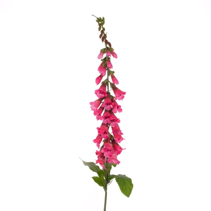Foxglove Stem 92cm Beauty