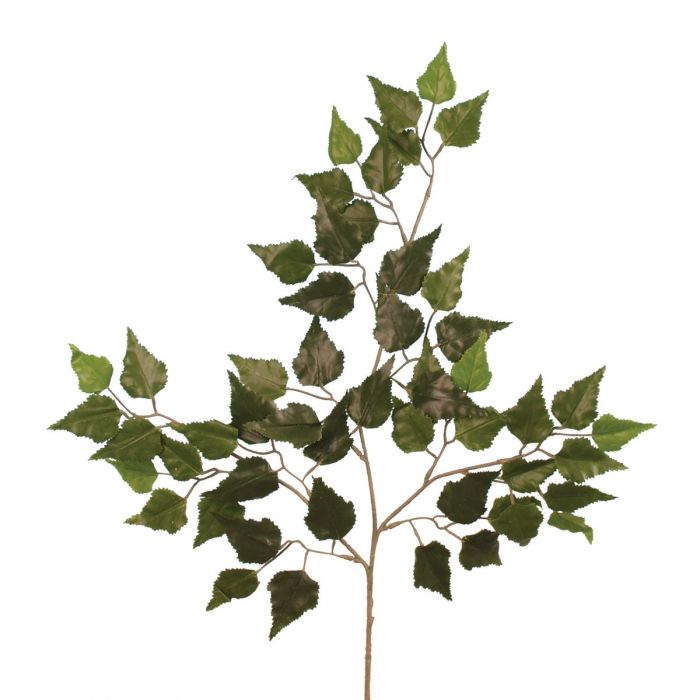 Birch Spray x 56 Leaves Green FR