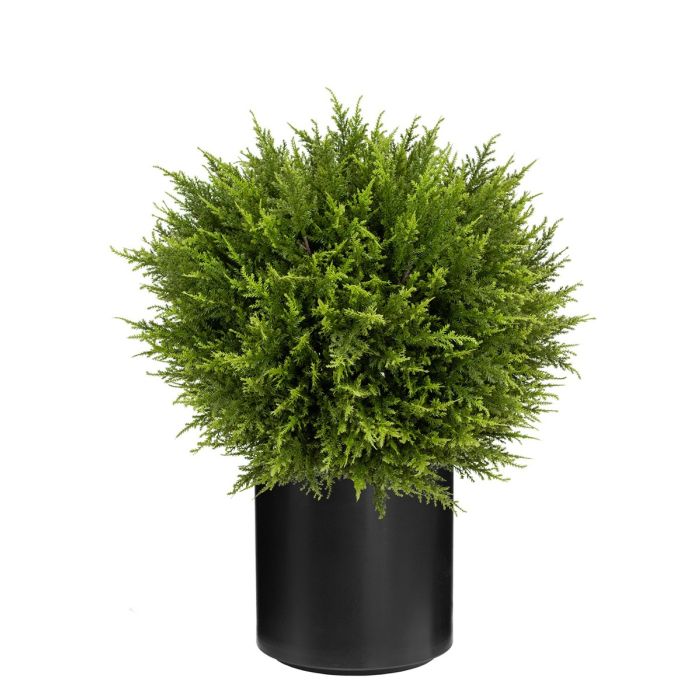 UV Cypress Ball 60cm In Stockholm Pot Black