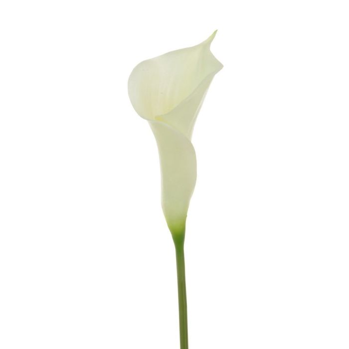 Fresh Touch Calla Lily 60cm