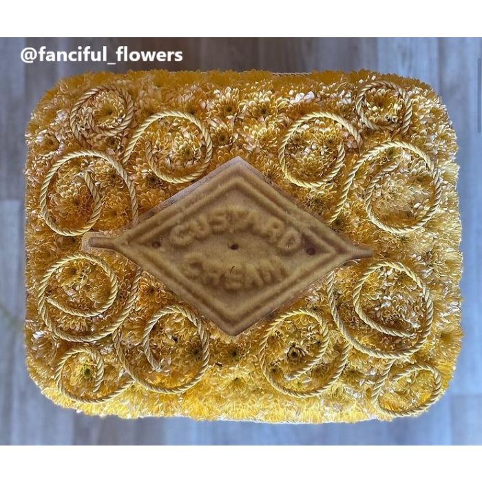 6mm Cord Cream x 10mtr