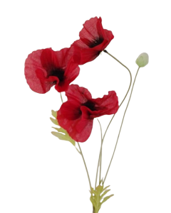 Poppy Spray x 3 Heads Red