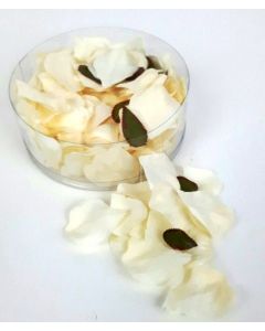 Petal Box Cream/Ivory x 164