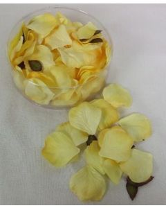Petal Box x 164 Gold/Yellow