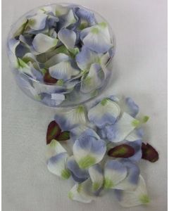 Petal Box Lavender/Blue x 164