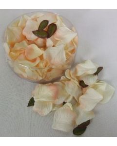 Petal Box Peach x 164
