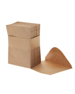 Brown Kraft Envelopes x 100