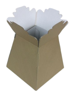 Living Vase (x30) Gold