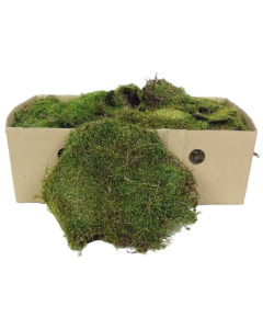 Flat Moss Box 1 Kg
