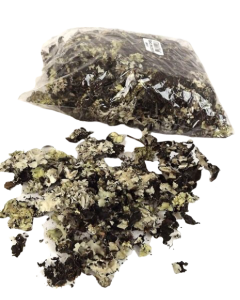 Black Moss (Musgo) x 250g