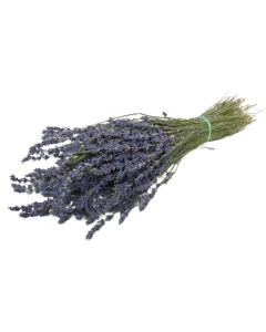 Lavender Bunch