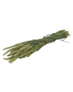 Dried Wheat Natural Bunch (Dutch)