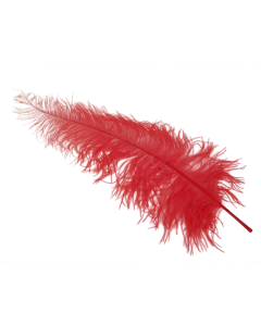 Ostrich Feathers Red X 5