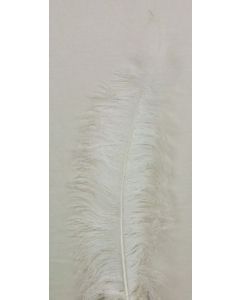 Ostrich Feathers White X 5