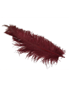 Ostrich Feathers Burgundy X 5