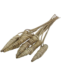 Cane Cone Natural X 25