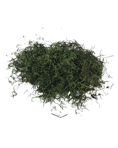 Tillandsia Moss (Forest Moss) X 200g Moss Green Bag