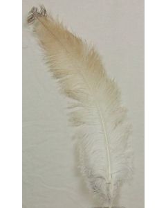 Ostrich Feathers Natural X 5