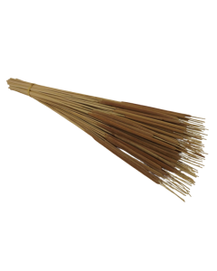 Typha Mini X 100 Stems App 75cm
